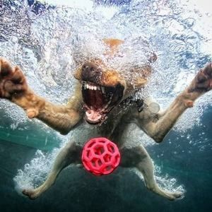 Meet your Posher, Gunderman